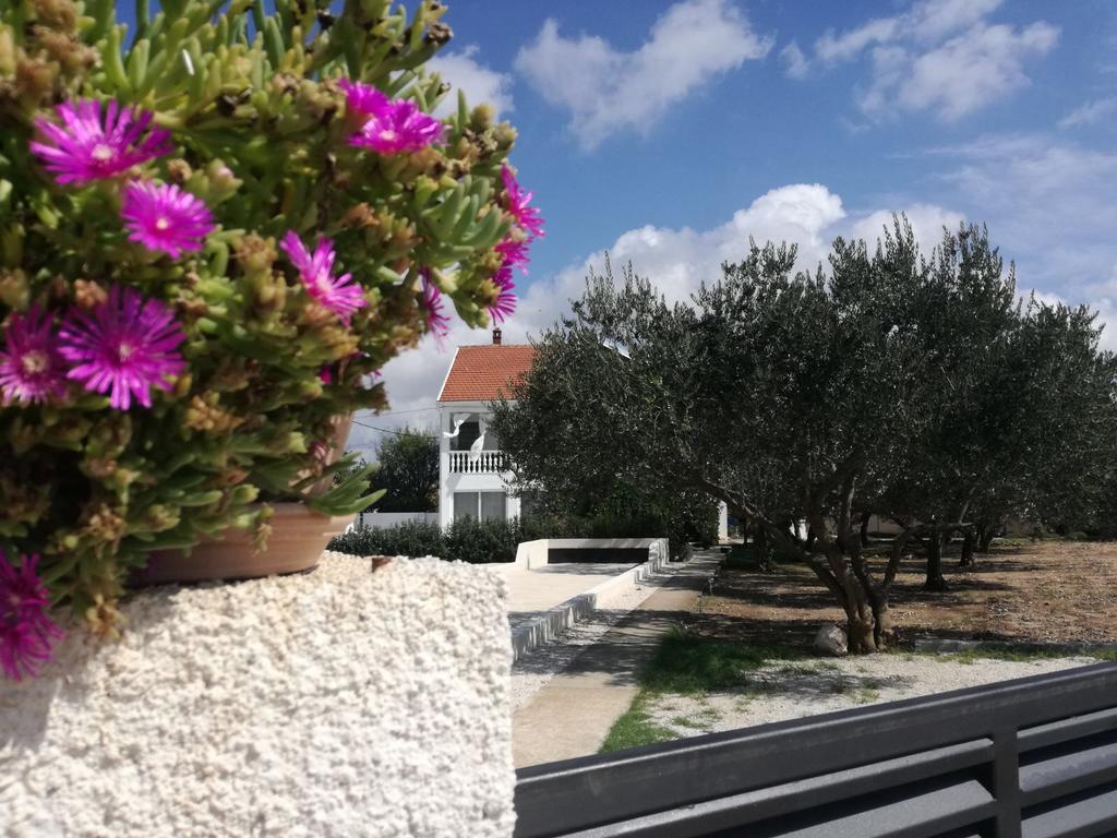 Debeljak Holiday Home Villa Emma מראה חיצוני תמונה
