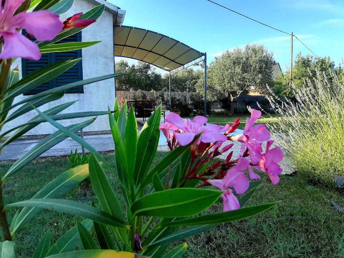 Debeljak Holiday Home Villa Emma מראה חיצוני תמונה