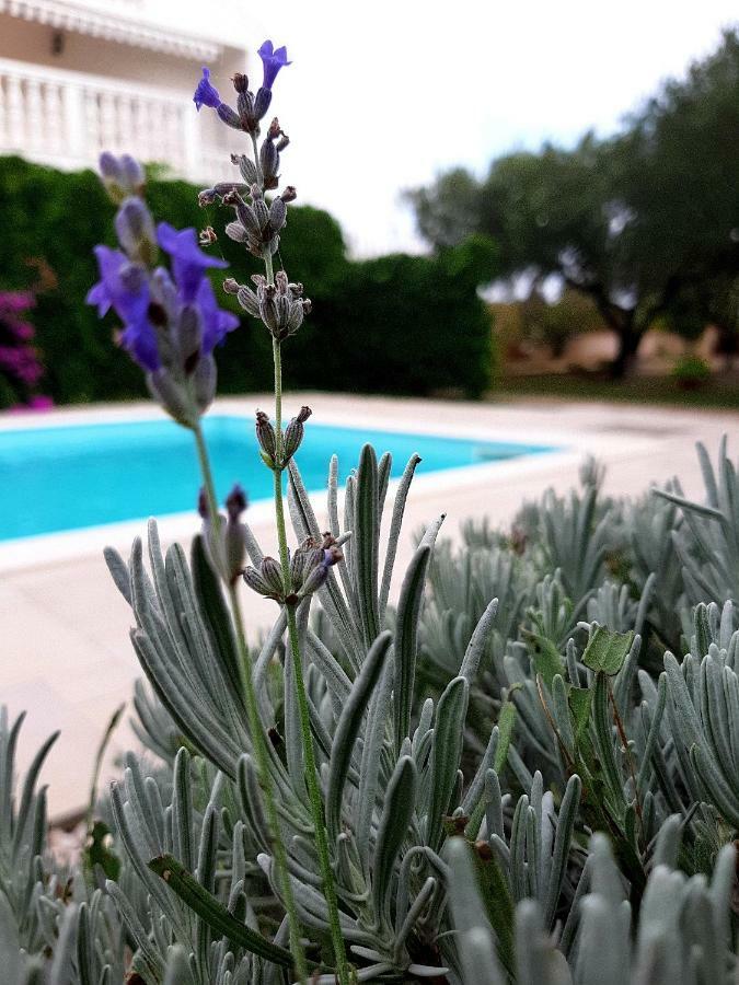 Debeljak Holiday Home Villa Emma מראה חיצוני תמונה